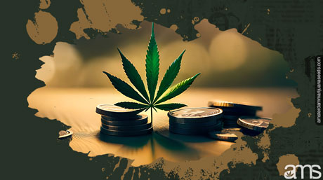 cheap marijuana seeds