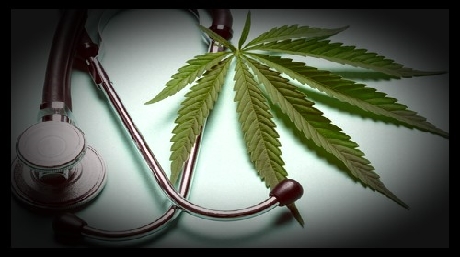 Cannabis leave
