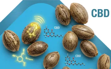 cat cbd image 1
