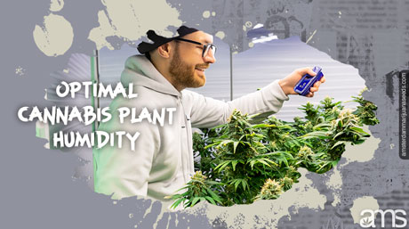 man measures the humidity in his grow room