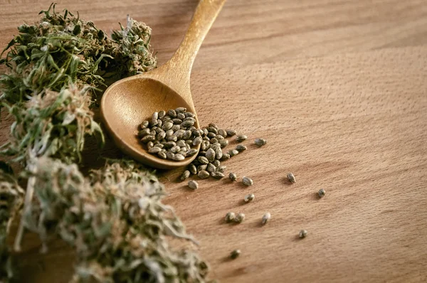 Regular Marijuana Seeds
