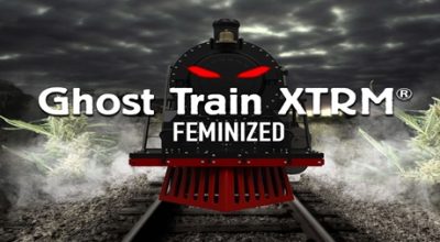 Ghost Train XTRM