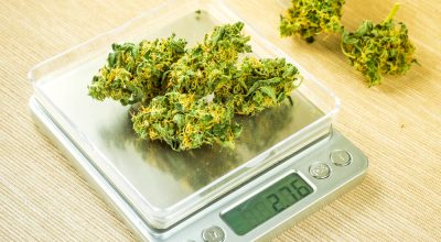 cannabis weight measurements