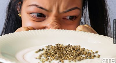 angry person next to cannabis seeds on a plate