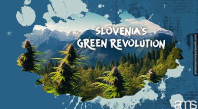 Slovenian mountains and cannabis plants