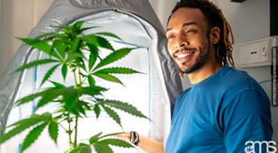 Homegrown Marijuana