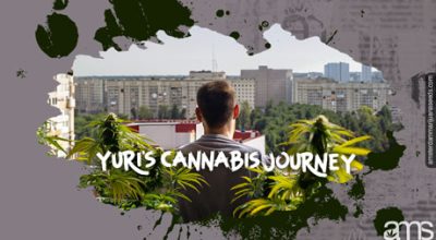 cannabis Belarus