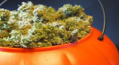 Halloween Marijuana