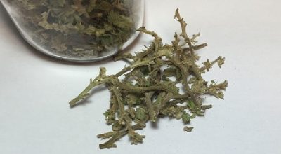 Creative ways to use your leftover marijuana stems