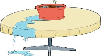 overwaterd_plant_on_table-1558695343