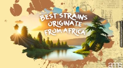 Strains that originate Africa