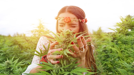Smelling marijuana plant